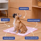 📢📢50% OFF !! ⏰Premium Cooling Mat For Pet