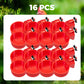 📢📢33% OFF !!⏰️5/16 Inch Thread Automatic Poultry Water Cups