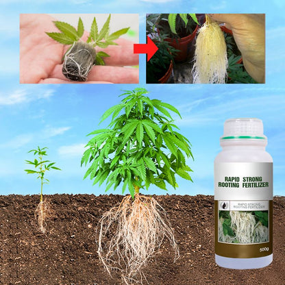 📢📢Flash Sale⚡: Ending in 3 Hours!⏰⏰Rapid Strong Rooting Fertilizer
