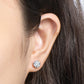 📢📢70%  OFF !! ⏰Stunning Classic Six-Prong Diamond Stud Earrings