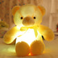 🎄❤️Christmas offer: 60% discount 🧸Teddy bear, colourful LED light, soft toys