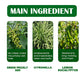 🔥💥Limited Sale today 50% off🌬️ Green Sichuan Pepper Mite Removal Spray- Deep Clean, Protect Health!