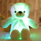 🎄❤️Christmas offer: 60% discount 🧸Teddy bear, colourful LED light, soft toys