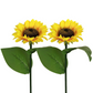 📢📢40% OFF !! ⏰ Sunflower Solar Lights – Auto On/Off, 14H Glow, IP65 Waterproof ☀️