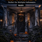 Halloween Scary Party Decoration Spiders & Stretchy Cobweb