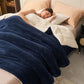 [Winter Gift] Double Thickened Warm Plush Blanket🔥Winter pre-heating - Huge discounts🔥