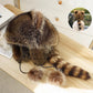 📢📢60 % OFF !!🎅【🎁Best Christmas Gift🎁】🎄 Raccoon Tail Fur Parent-Child Plush Hat