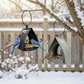 📢📢50%  OFF !! ⏰Hanging Bird Feeder for Garden with Roof