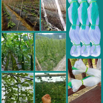 🌱 LIMITED-TIME 50% OFF! ✨ Garden Climbing Plant Net – Durable Support, Easy Install, Vertical Growth 🍅
