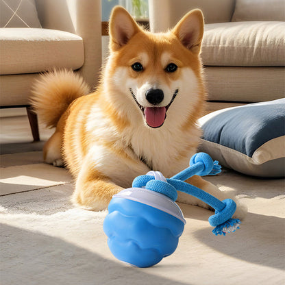 📢📢43 % OFF !!🎅Interactive Electronic Pet Soothing Toy Ball