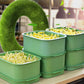 📢📢Buy 2 Get 1 Free !! ⏰Stackable Bean Sprout Growing Box - Multi-layer Design, Perfect for Home Cultivation, Healthy Green Living!