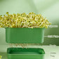 📢📢Buy 2 Get 1 Free !! ⏰Stackable Bean Sprout Growing Box - Multi-layer Design, Perfect for Home Cultivation, Healthy Green Living!