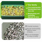 📢📢Buy 2 Get 1 Free !! ⏰Stackable Bean Sprout Growing Box - Multi-layer Design, Perfect for Home Cultivation, Healthy Green Living!