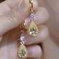 Women's Fashion Teardrop Dangle Earrings