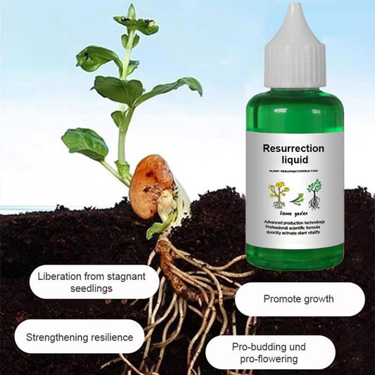 🏆Buy 3 Get 5 Free -8 bottle✨🌿Plant and Flower Activation Liquid Solution
