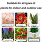 🏆Buy 3 Get 5 Free -8 bottle✨🌿Plant and Flower Activation Liquid Solution