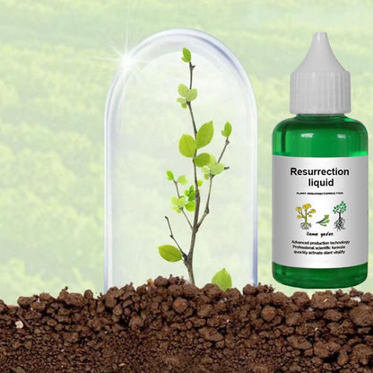 🏆Buy 3 Get 5 Free -8 bottle✨🌿Plant and Flower Activation Liquid Solution
