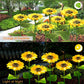 📢📢40% OFF !! ⏰ Sunflower Solar Lights – Auto On/Off, 14H Glow, IP65 Waterproof ☀️