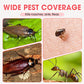 300ml Indoor Fipronil Pest Control Spray