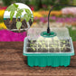 📢📢50% OFF!!⏰Seed Starter Trays with Grow Light