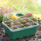 📢📢50% OFF!!⏰Seed Starter Trays with Grow Light