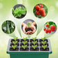 📢📢50% OFF!!⏰Seed Starter Trays with Grow Light