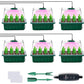 📢📢50% OFF!!⏰Seed Starter Trays with Grow Light