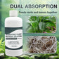 Hydroponic Plant Nutrient Solution