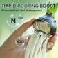 Hydroponic Plant Nutrient Solution