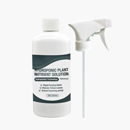 Hydroponic Plant Nutrient Solution
