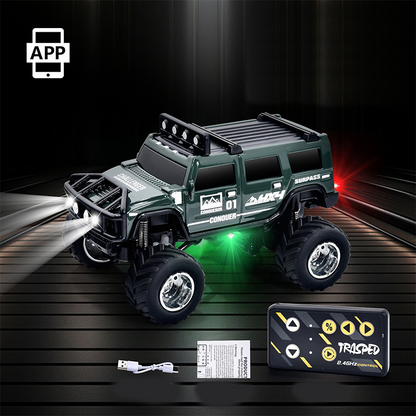 🔋 2025 HOT SALE 60% OFF! ✨ Mini RC Off-Road Truck with Lights