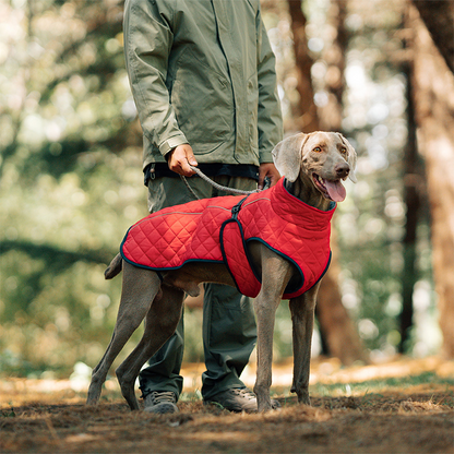 📢📢50 % OFF !!⏰⏰Outdoor Reflective Dog Jacket - Windproof Warm Coat with Secure Leash Opening (Red/Navy)