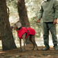 📢📢50 % OFF !!⏰⏰Outdoor Reflective Dog Jacket - Windproof Warm Coat with Secure Leash Opening (Red/Navy)