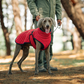 📢📢50 % OFF !!⏰⏰Outdoor Reflective Dog Jacket - Windproof Warm Coat with Secure Leash Opening (Red/Navy)