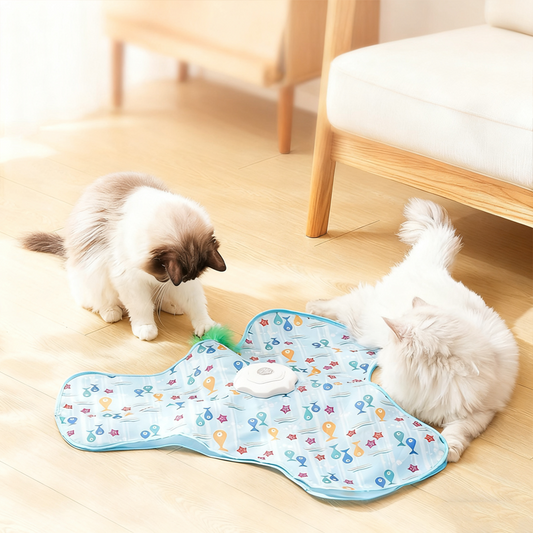 📢📢 50   %  OFF  !! ✨2-In-1 Hide and Seek Game Cat Toy