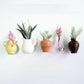 📢📢50 % OFF !!🎅Mini Ceramic Vase Fridge Magnet