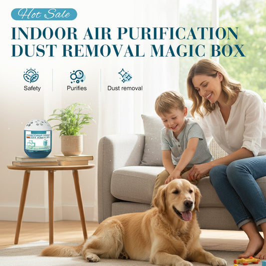 📢📢 50 %  OFF !! ✨Indoor Air Purification Dust Removal Magic Box🍋‍🟩