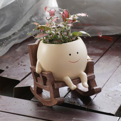 📢📢30% OFF !! ⏰Playful Round Planter