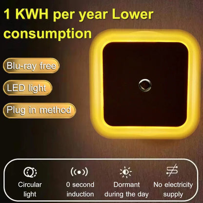 🎉 2026 Sale — Over 88,000 Sold! 🌙 Plug-in LED Night Light – Dusk-to-Dawn Sensor & Warm White Glow 🏠