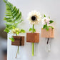 Magnetic Wooden Vase with Test Tube
