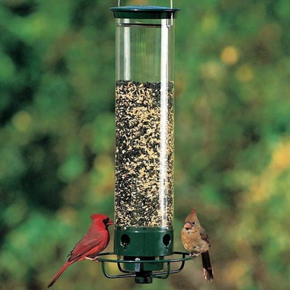 📢📢30% OFF !!!⏰ Squirrel-Proof Bird Feeder