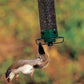📢📢30% OFF !!!⏰ Squirrel-Proof Bird Feeder