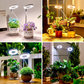 📢📢30% OFF !! ⏰LED Angel Ring Plant Grow Light