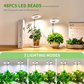 📢📢30% OFF !! ⏰LED Angel Ring Plant Grow Light