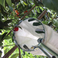 📢📢50% OFF !! ⏰Fruit Picker Head Basket – Durable Design, Easy Attach & Perfect for Reaching High Branches Without a Ladder 🌳