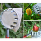 📢📢50% OFF !! ⏰Fruit Picker Head Basket – Durable Design, Easy Attach & Perfect for Reaching High Branches Without a Ladder 🌳