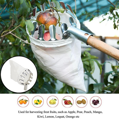 📢📢50% OFF !! ⏰Fruit Picker Head Basket – Durable Design, Easy Attach & Perfect for Reaching High Branches Without a Ladder 🌳