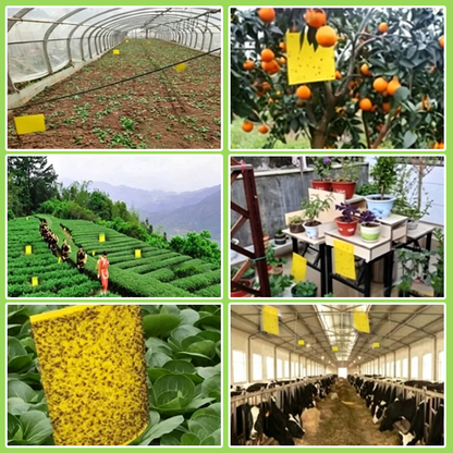 📢📢30% OFF !! ⏰High-Adhesive Yellow Sticky Traps for Flying Pests