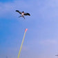 📢📢40% OFF !! ⏰Handheld Fishing Rod Kite Toy