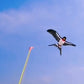 📢📢40% OFF !! ⏰Handheld Fishing Rod Kite Toy